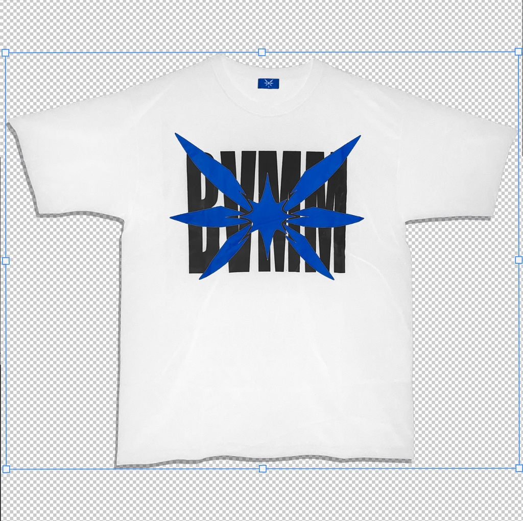 BVMM BLANCA