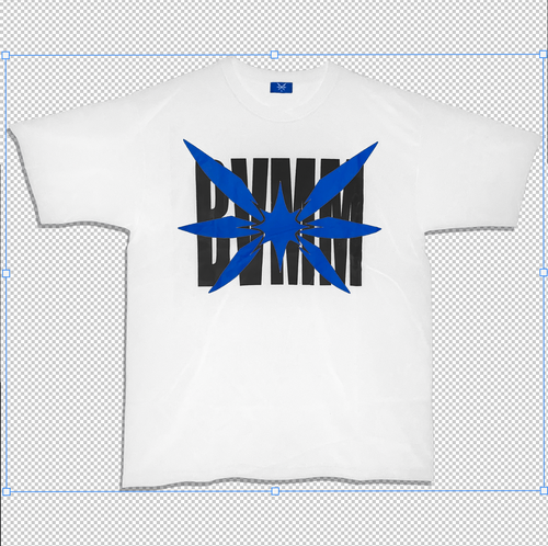 BVMM BLANCA
